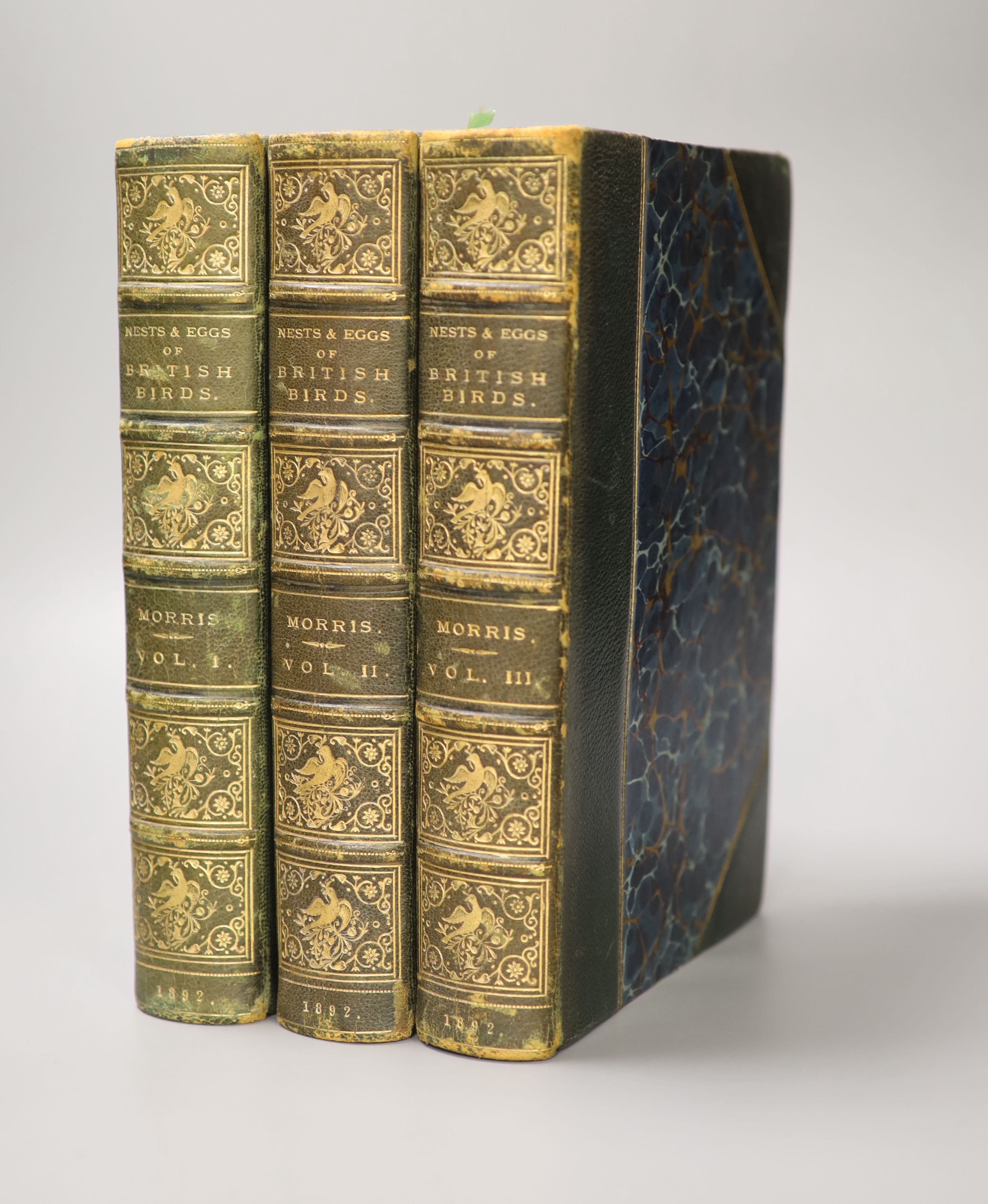Morris, Rev. Francis Orpen - A Natural History of the Nests and Eggs of British Birds, 3rd edition, 3 vols, qto, half green morocco, marbled boards, 248 coloured plates, John C. Nimmo, London, 1892